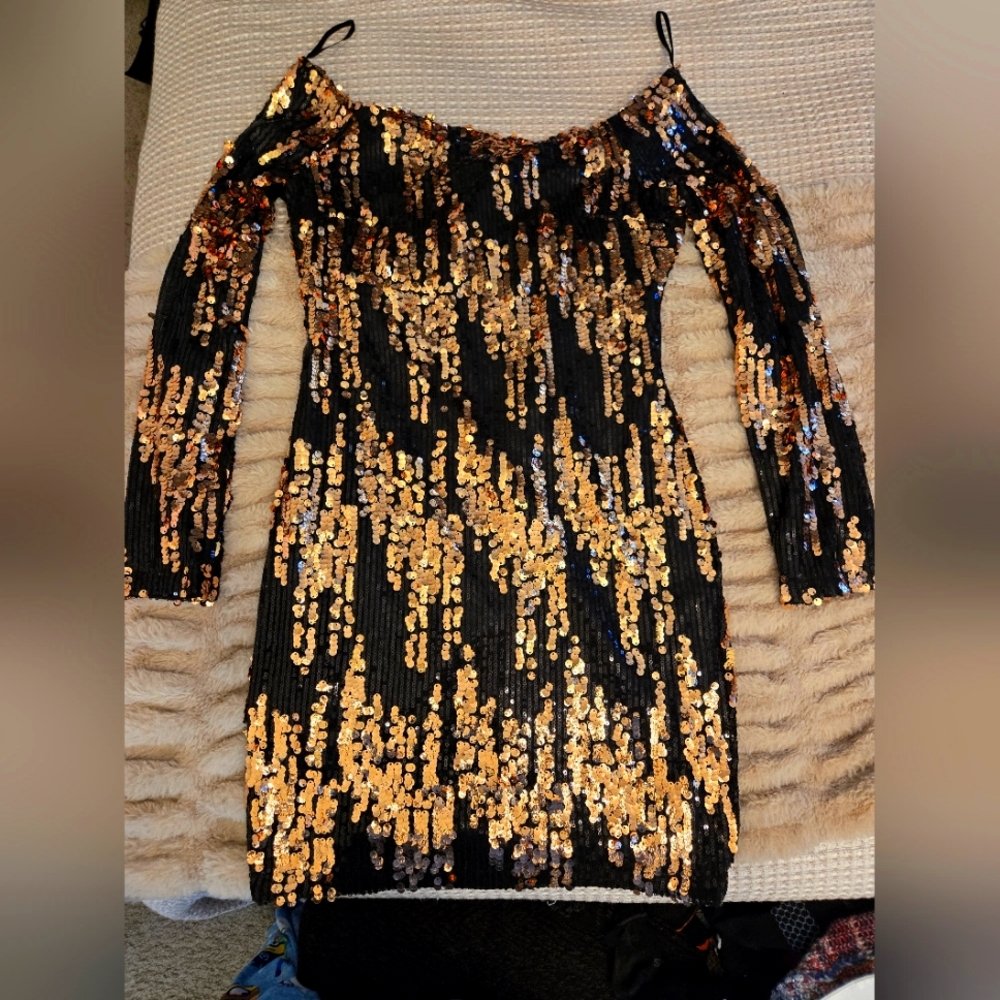 Shimmery Akira Sleve Dress